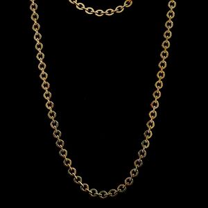 Gold Tone Rollo Necklace